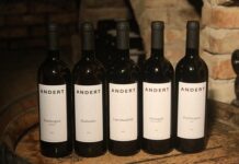 Kto rządzi w szkole?