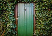 Jak nauczyć się spokoju i opanowania?