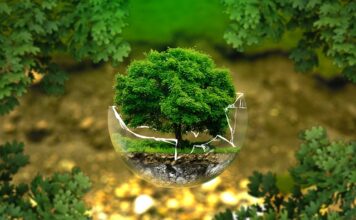 Czym zajmuje się biologia?