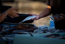 Jak dobrze sprzedawać door-to-door?