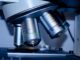 Gdzie warto studiować biotechnologię? Gdzie warto studiować biotechnologię?