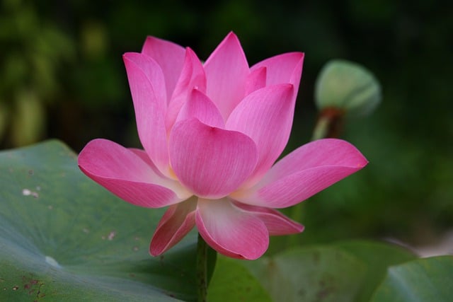 Co to znaczy po angielsku WF?