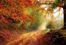 W którym roku powstała szkoła?