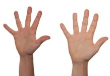 Jak pracować nad Otwartością?