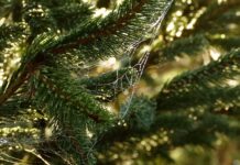 Jak zebrać potrzeby szkoleniowe?