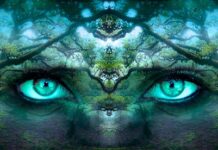 Co nam daje świadomość?