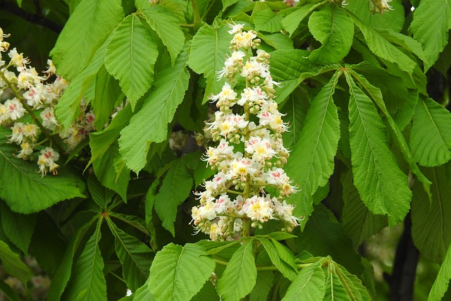 Czy w 2 lata nauczę się do matury?