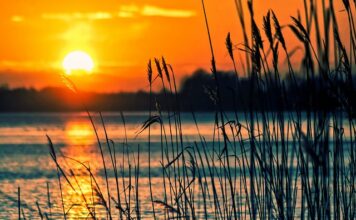 Jakie są instrumenty rynku kapitałowego?