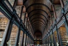 Czym się różni uczelnia od szkoły wyższej?