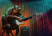 Jakie są etapy edukacji?