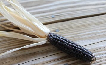 Co to funkcją selekcji rynku?