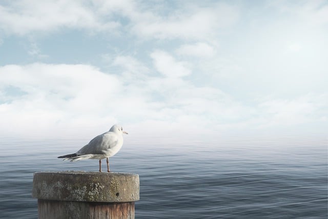 Jak się uspokoić i wyciszyć?