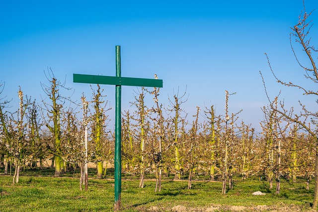 Czy w szkole trzeba wprowadzić regulamin pracy zdalnej?