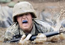 Co jest wyżej akademia czy uniwersytet?