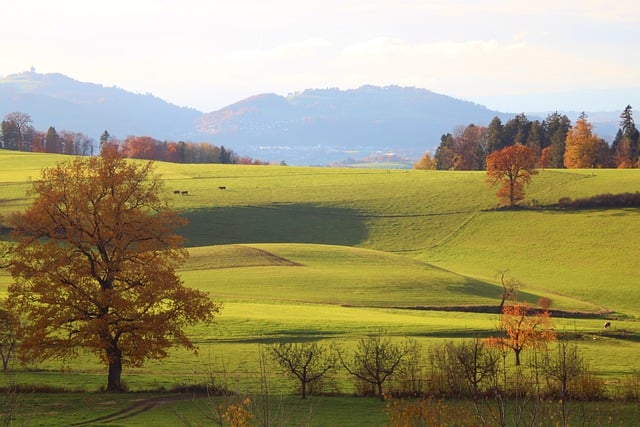 Ile brutto na start?