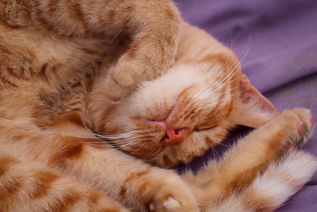 Dlaczego boję się podejmować decyzje?